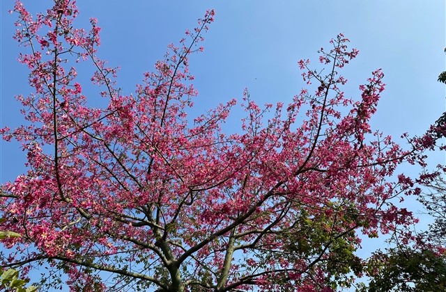 搞笑寝室群名称大全