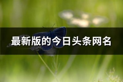 ​最新版的今日头条网名(130个)