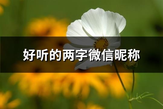 好听的两字微信昵称(优选1748个)