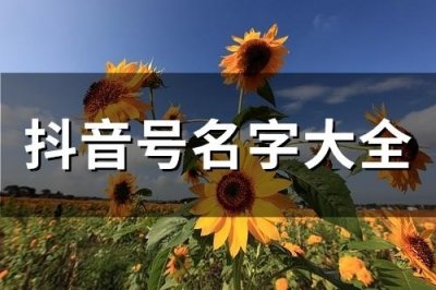 ​抖音号名字大全(精选292个)