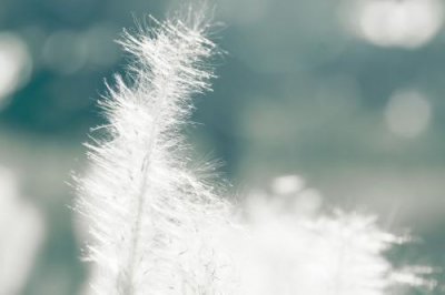 ​谷雨节气祝福语带图片