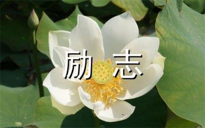 ​元旦送给长辈祝福语大全 送给长辈的元旦节祝福(20句)