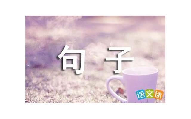 关于答案的唯美句子（猪八戒的经典情话短句）