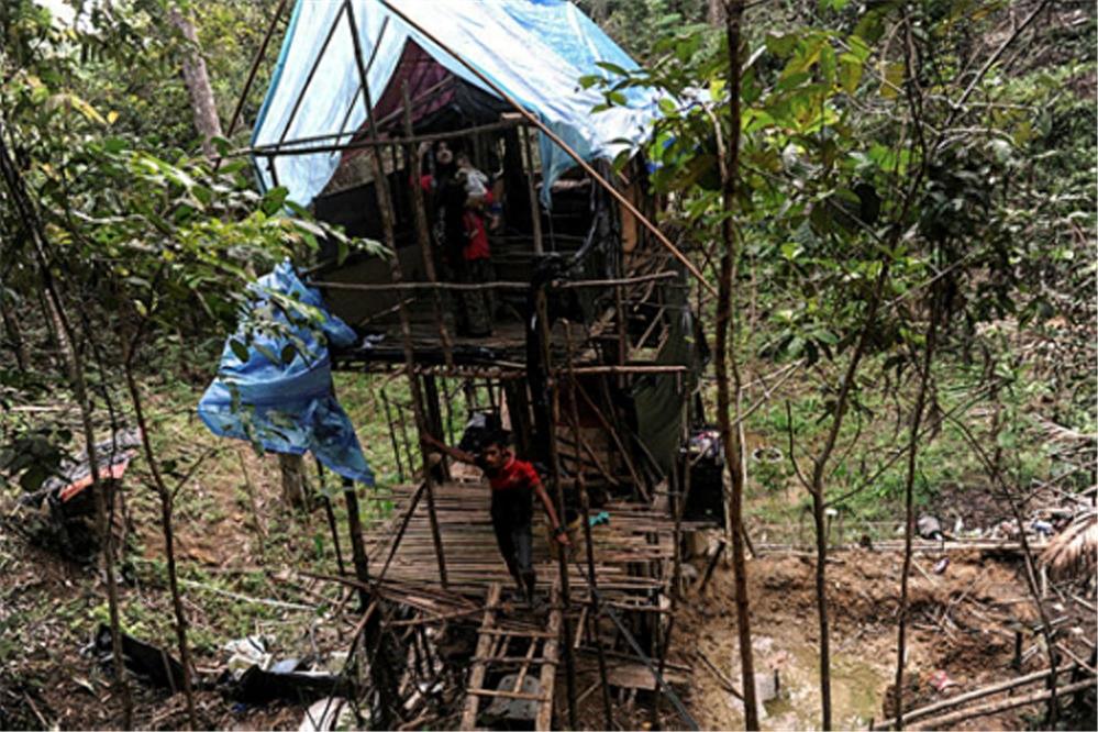 直击：小夫妻隐居丛林，自建三层木屋，过着苦中作乐的山野生活