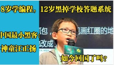 ​8岁学编程，13岁成中国最小黑客，汪正扬去美国读书后，回国了吗