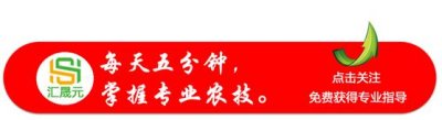 ​「果树栽培」何时嫁接？老农权威发布所有果树的最佳嫁接时间