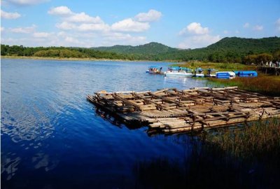 ​昆明周边旅游：长湖，圭山国家森林公园，城子村，大渔公园