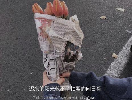 关于中秋节的优美语句