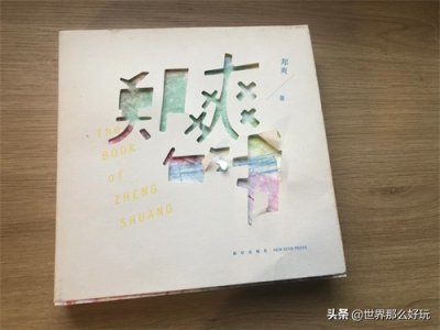 ​重温《郑爽的书》，一个神经质少女的QQ空间文学，早已预示其结局