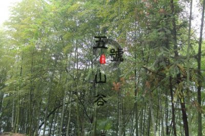 ​倚楼听风雨，携手归林远-入住张家界五号山谷乡村度假民居体验