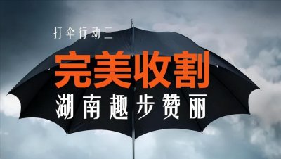 ​「打伞行动」趣步赞丽，瞭望九州，OTC盘转电商盘收割预判