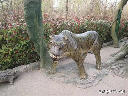 "娴庡畞涓囪薄鍩庝箰鍥紝閲岄潰澶編浜嗭紝涓€鑸汉鎴戜笉鍛婅瘔浠?