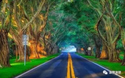 ​全重庆最美的公路Top10！看看哪一条通往你的家乡？