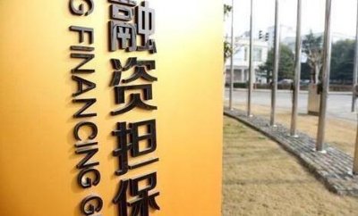 ​金融小知识-融资担保公司