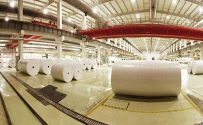 ​中国纸巾企业TOP榜：斑布第8，洁柔成功进入前3，第1是哪家？