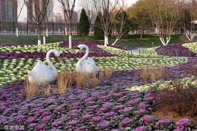 ​北京冬天最美的公园！你去过几个？