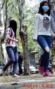 ​法桐飘絮已至尾声，可以开心的玩耍了