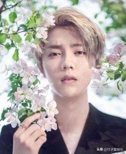 ​鹿晗新歌破亿，一句歌词唱出心声，成为男生的表白金句！