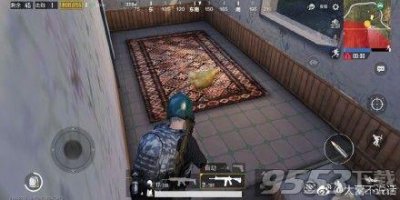 ​绝地求生刺激战场的鸡有什么用 刺激战场杀鸡有什么奖励