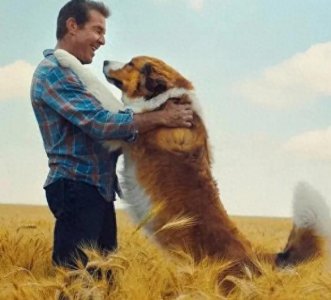 ​一条狗的使命，改编自同名小说的家庭电影，触及心灵的人性选择