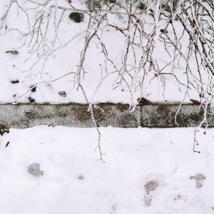 ​我在南方的艳阳里念你——财大的冬