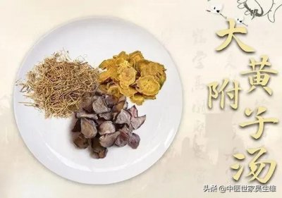 ​大黄附子细辛汤的适应证及辨证要点
