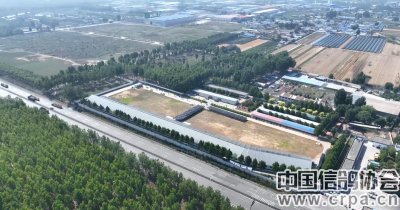 ​新阳光 新活力——唐山阳光国际赛鸽公棚（小棚）巡礼