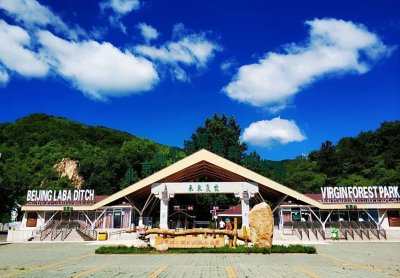 ​京郊避暑好去处！北京喇叭沟原始森林公园炎夏仍有冰川