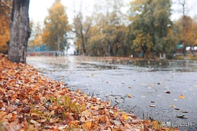 ​今天是农历八月初一，看看都有些什么说法