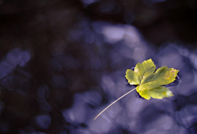 ​带年份的符号网名大全