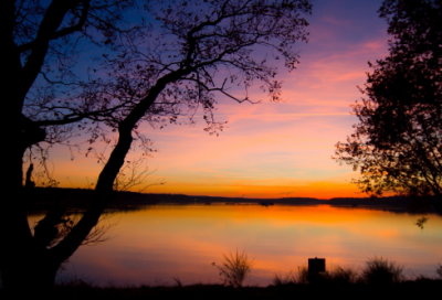 ​带撒欢的网名大全女