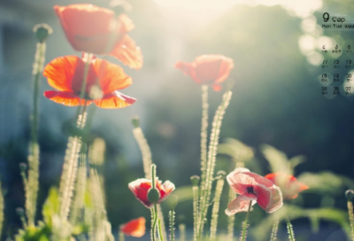 ​带感受字的网名大全女生