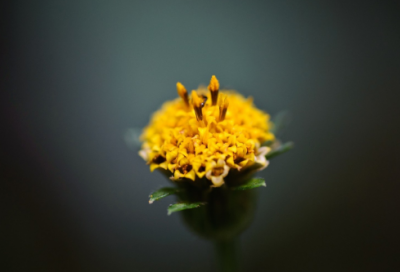 ​五字网名带爱字的网名大全