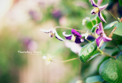 ​带感受字的网名大全男生