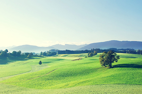 新家搬迁祝福语134句