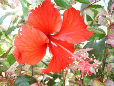 ​适合普通家庭的留学国家