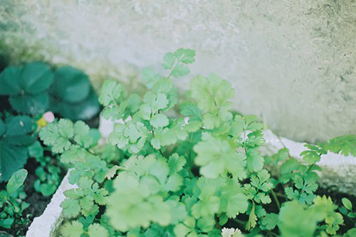 友情短信锦集120句