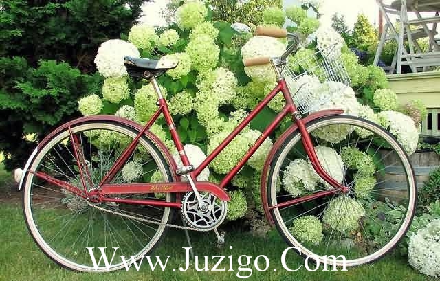 新年拜年短信大全100句