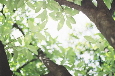 ​儿童节搞怪短信99句