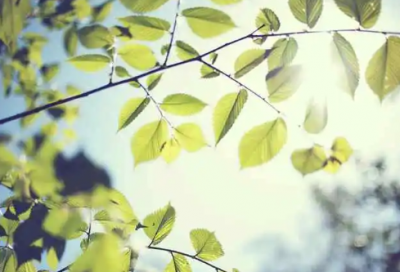 ​除夕祝福文案