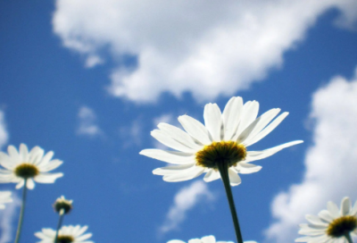 ​公司周年庆典祝福语集锦