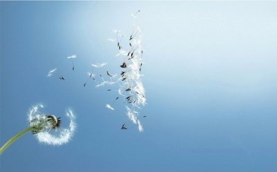 ​端午节笑话短信94句