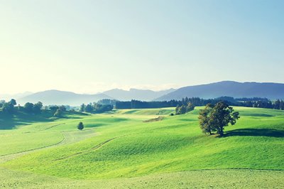 ​元旦恶搞短信94句