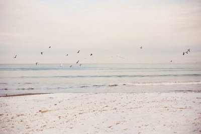 ​立冬祝福语2023年90句