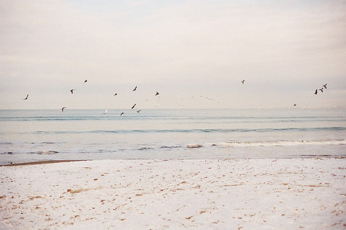 立冬祝福语2023年90句