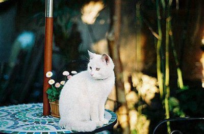 ​祝福党101岁的生日贺卡寄语 给党的生日贺卡(精选98句)