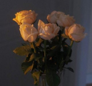 ​冬至祝福文案简短精悍(精选90条)