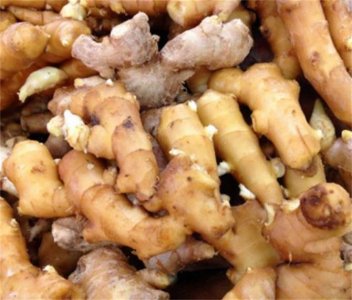 ​沙姜因其独特的辛香味征服不少食客，和生姜有何不同之处呢？