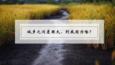 ​城乡之间差距大，到底因为啥？