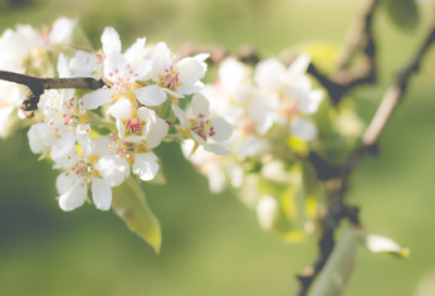 ​女儿十岁生日祝福语（精选110句）